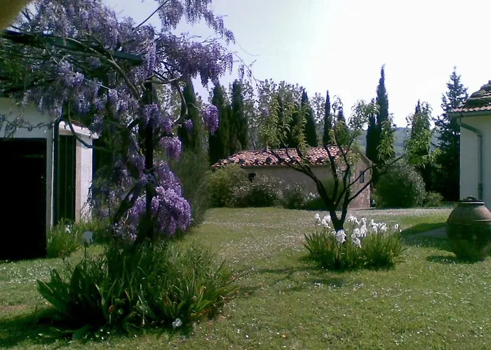 Vignagrande * Saturnia